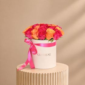 Colourful Wishes