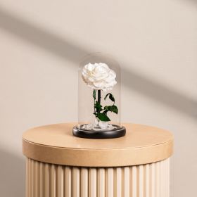 Mini White Infinity Rose