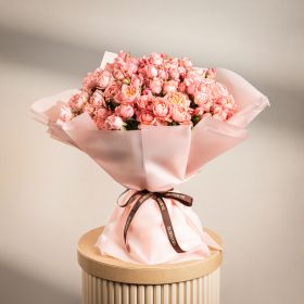 Blush Julieta Harmony