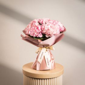 Blush Hydrangea Harmony