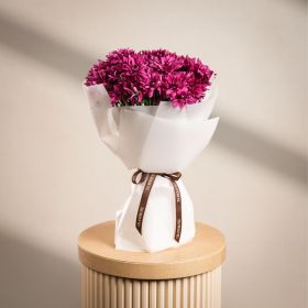 Purple Chrysanthemum Bloom
