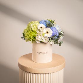 Rio Glimpse Arrangement