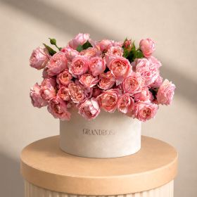 Pink Whisper Acrylic Box