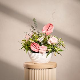 Pink Anthurium Glass Vase