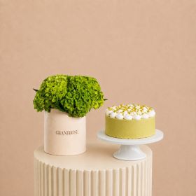 Luxe Hydrangeas with Pistachio Cake