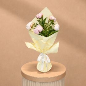 Pink Peony Love