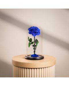 Large Infinity Single Blue Rose