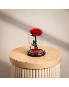 Mini Red Infinity Rose