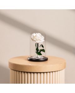 Mini White Infinity Rose