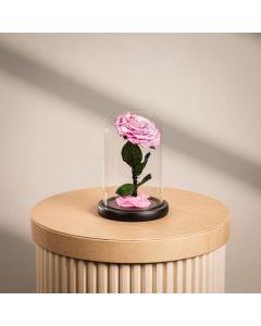 Mini Light Pink Infinity Rose