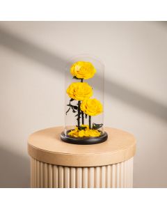 3 Yellow Infinity Rose