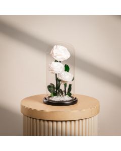 3 White Infinity Rose