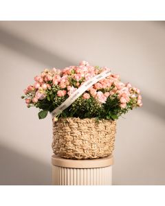 Pink Wonder Arrangement