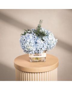 Serene Hydrangea Blue Gift