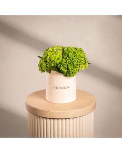 Luxe Hydrangea Green Design