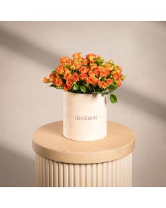 Charming Spray Rose Orange Gift