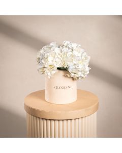Brilliant Hydrangea White Signature