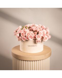 Pink Whisper Acrylic Box