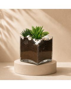 Succulent Mix Square Vase