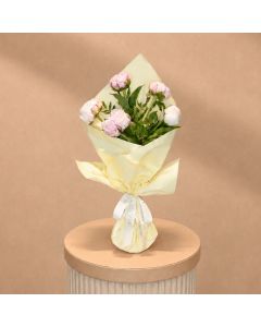 Pink Peony Love